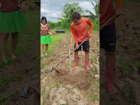 เฮ็ดผู้เดียวโลดเด้อ #funny #ตลกขบขัน #ขำๆ