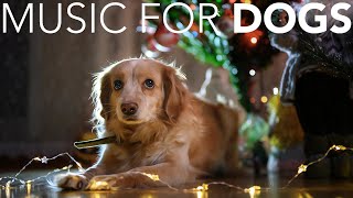 10 HOURS of Dog Christmas Day Music 🎅🦮 Tranquil Christmas Lullabies to Comfort Your Dog