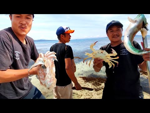 Cari Kerang Serta Menombak Ikan, Sotong, dan  Kepiting | Hunting & Cooking