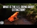 Endangered Species Act Impacts and Strategies