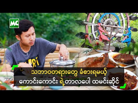 ဘားအံ ရောက်သွားသလို ခံစားရမယ့် ကောင်းကောင်း ရဲ့တာလပေါ ထမင်းဆိုင်