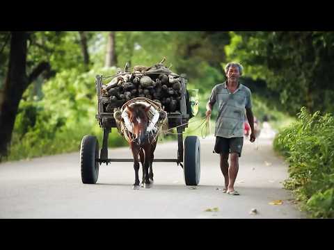 India: Vertigo at the End of the World | Deadliest Journeys