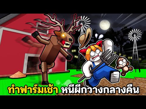 ทำฟาร์มเช้า หนีผีกวางกลางคืน