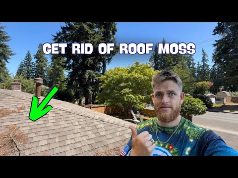 How to professionally clean a roof and gutters