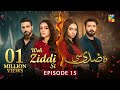 Woh Ziddi Si - Episode 15 - 26th October 2024 [ Aina Asif & Ali Abbas ] - HUM TV