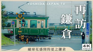每到夏天我要去鎌倉！找到了無人的平交道拍照秘境🚃鎌倉一日遊・夏日繡球花季｜東京自由行 Japan 4K