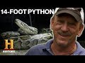 Snake Hunting Competition Challenges