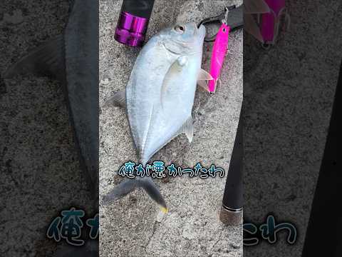 拾ったルアー、どこへやった…？ #ヘビさんのアウトドア日誌