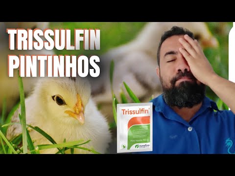 PODE USAR O TRISSUFIN EM PINTINHOS