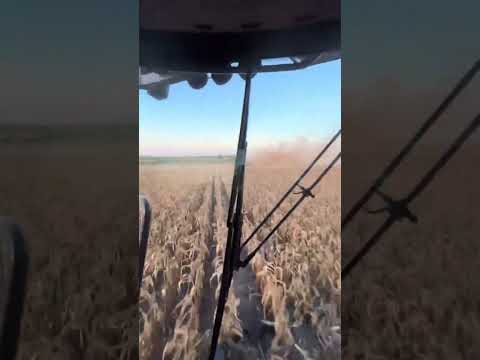 #nexat #agriculture #farmlife #farming #farmtok