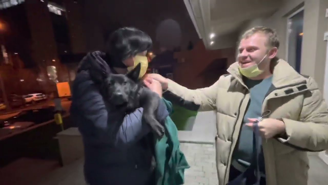 Чарли стало плохо! Оставили в больнице кататься