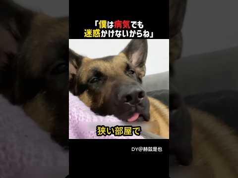 たった5年の命で愛を教えてくれた