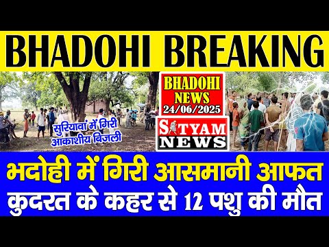 BHADOHI में कुदरत का कहर, 12 पशु की मौत | #भदोही ब्रेकिंग | #Bhadohi #Suriyawan मे गिरी आकाशीय बिजली