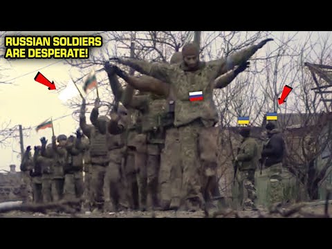 Big Ambush on Putin's Private Soldiers! Russian Infantry Has Been Destroyed!