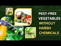 Natural Pest Control Ingredients and Benefits
