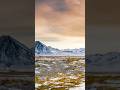 Arctic Tundra Climate and Geography
