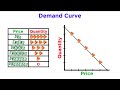 Exploring Supply and Demand Dynamics