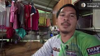 หญ้าชายเพิ่ม [ELEPHANT THAILAND]