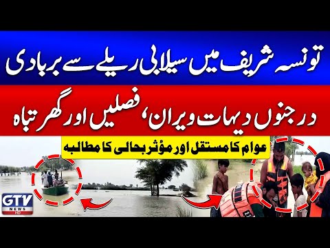 Floods Devastate Taunsa Sharif | Villages Destroyed, Crops & Homes Lost | Breaking News