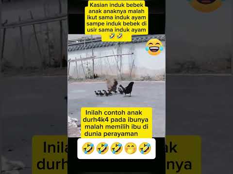 semoga bermanfaat