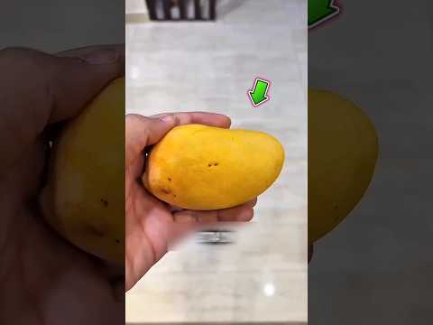 Ele achou que havia cobra em casa 🥹