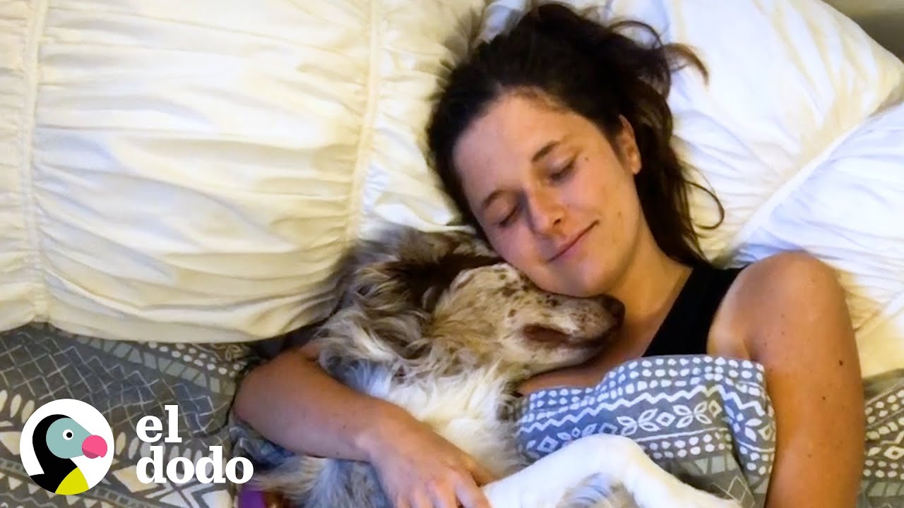 Esta perrita siempre se acuesta mirando a su mamá de manera amorosa