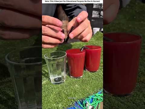The Guy Shares Juice in 3 Glasses๐น๐ฒ๐ฅ