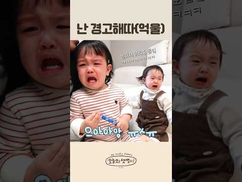 처음 듣는 소리에 놀란 째유와 이서👧🏻👧🏻#육아#육아브이로그 #브이로그