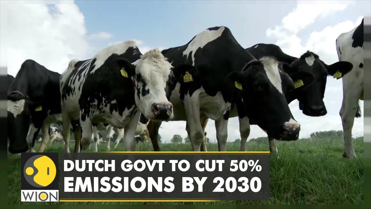 Nationwide Protests held by Farmers in Netherlands | Dutch Govt to cut 50% Emissions by 2030