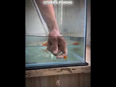 Fisherman catches biggest fish💀