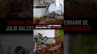 Cariani fica IMPRESSIONADO com novo terrário do BALESTRIN #renatocariani #juliobalestrin #zoológico