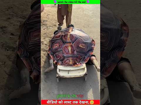 Duniya ki sab se pyari awaaz🥰#azan #islamicvideo#islamicstutu #shortsfeed #quran #short