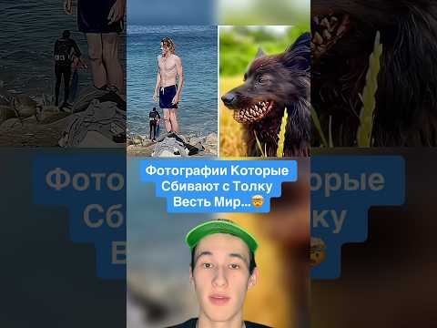 Фотографии Которые Сбивают с Толку Весь Мир…🤯 #shorts #фото #животные #собака