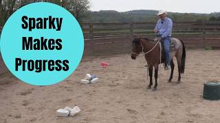 Sparky Makes Progress (Episode 304) - Herm Gailey: A Lifetime with Horses