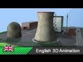 Nuclear Power Plant Operations