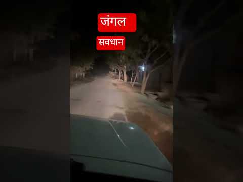 Egg 🥚 Attack on car #trending #viral #funny #youtubeshorts #viralshorts  #comedy