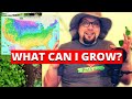 Understanding Planting Zones and Gardening