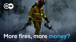 YouTube video thumbnail: Wildfires Spark Calls for More EU Funds