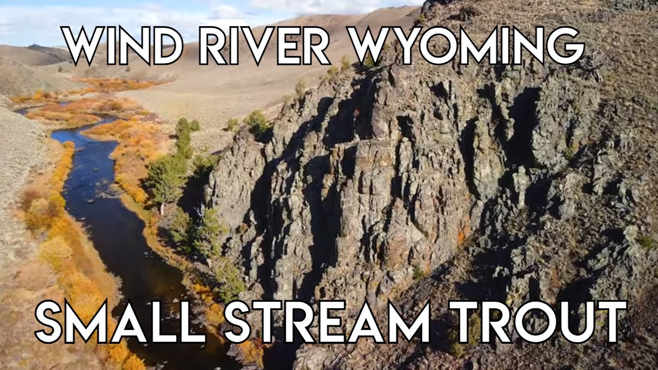 Wind River Small Stream Trout - The New Fly Fisher