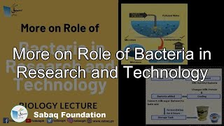 More on Role of Bacteria in Research and Technology