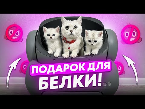 ПОДАРОК ДЛЯ БЕЛКИ АВТОМАТИЧЕСКИЙ ЛОТОК NEAKASA M1#cat