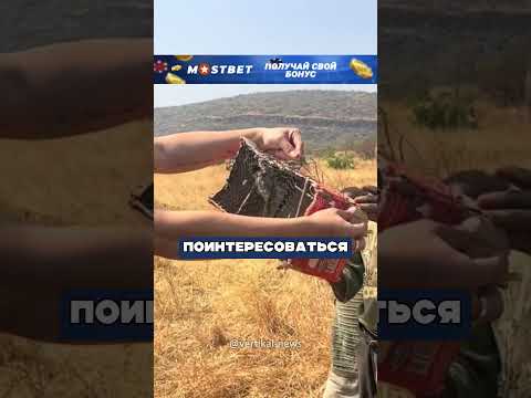 Заплатил африканским охотникам, чтобы те отпустили птиц 😮🔥🐦