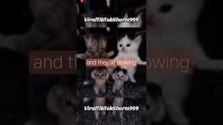 @J9W9E9