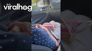 Sneakily Placing Items On Grandmother's Head || ViralHog
