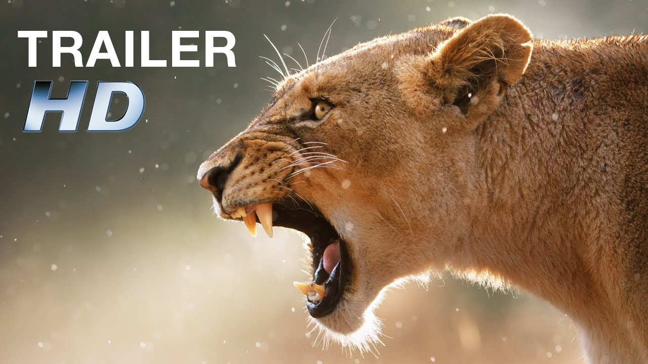 African Safari 3D Vorschaubild des Trailers