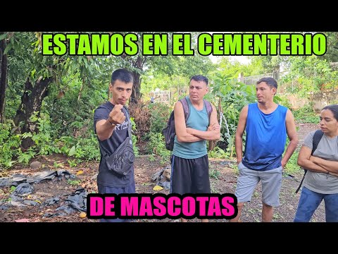 Nos toco enterrar un animalito con mucha tristeza.