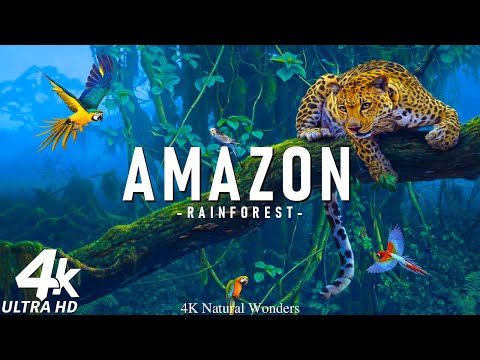 FLYING OVER AMAZON 4K UHD - Relaxing Music Along With Beautiful Nature Videos - 4K Video HD
