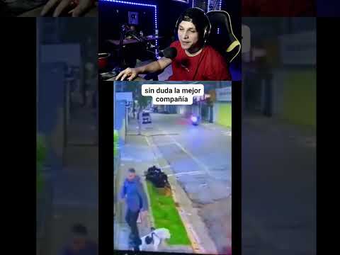 Perro salvo a su dueño de ser robado #shorts