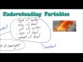 Differentiating Independent and Dependent Variables