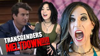 Alex Stein Causes Alphabet MELTDOWN!